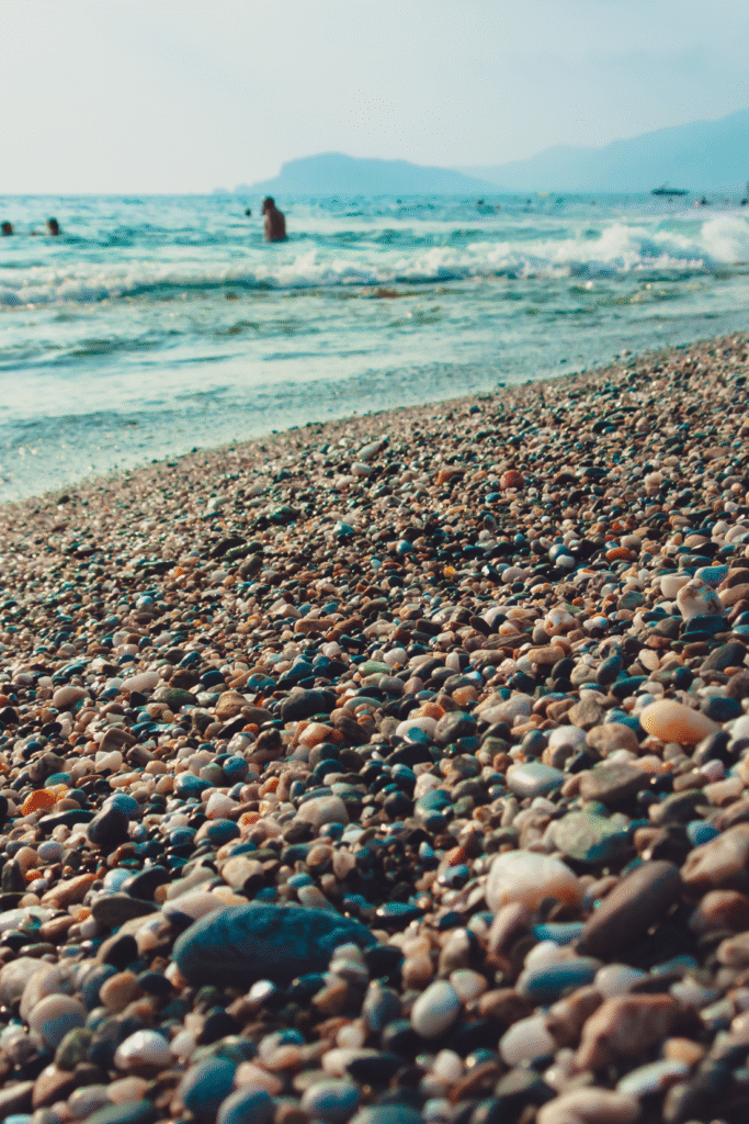 untitled design (1) untitled design (1)